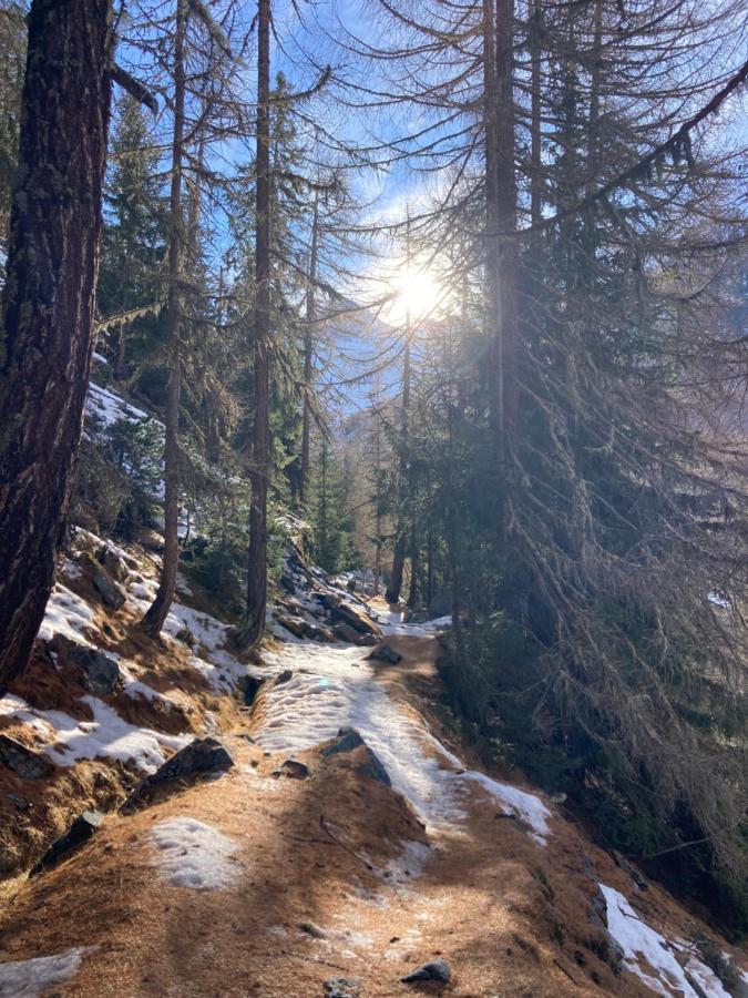 Panorama - Lovely Place In Nature Gasenried Exterior foto
