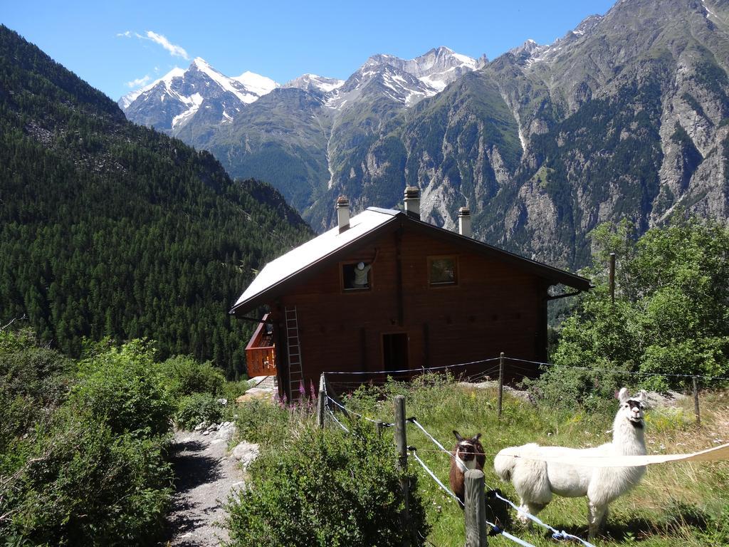 Panorama - Lovely Place In Nature Gasenried Exterior foto